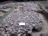 Cronica Cercetărilor Arheologice din România, Campania 2001. Raportul nr. 185
