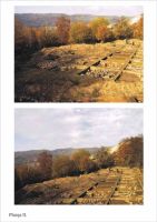 Chronicle of the Archaeological Excavations in Romania, 2001 Campaign. Report no. 186, Roşia Montană, Hăbad-Brădoaia<br /><a href='http://foto.cimec.ro/cronica/2001/186/planse-rosia02.jpg' target=_blank>Display the same picture in a new window</a>