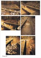 Chronicle of the Archaeological Excavations in Romania, 2001 Campaign. Report no. 186, Roşia Montană, Hăbad-Brădoaia<br /><a href='http://foto.cimec.ro/cronica/2001/186/planse-rosia03.jpg' target=_blank>Display the same picture in a new window</a>