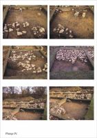 Chronicle of the Archaeological Excavations in Romania, 2001 Campaign. Report no. 186, Roşia Montană, Hăbad-Brădoaia<br /><a href='http://foto.cimec.ro/cronica/2001/186/planse-rosia04.jpg' target=_blank>Display the same picture in a new window</a>