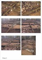 Cronica Cercetărilor Arheologice din România, Campania 2001. Raportul nr. 186