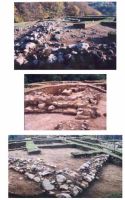 Cronica Cercetărilor Arheologice din România, Campania 2001. Raportul nr. 190.<br /> Sectorul Szekely.