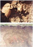 Cronica Cercetărilor Arheologice din România, Campania 2001. Raportul nr. 190.<br /> Sectorul funerara.