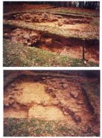 Chronicle of the Archaeological Excavations in Romania, 2001 Campaign. Report no. 190, Roşia Montană, Perimetrul T.I (proprietatea Lajos Szekely); Perimetrul T.II - Drumuş Rozalia.<br /> Sector tomus.<br /><a href='http://foto.cimec.ro/cronica/2001/190/tomus/prop-tomus-edificiul-t3-cppcn-3.jpg' target=_blank>Display the same picture in a new window</a>