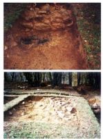 Chronicle of the Archaeological Excavations in Romania, 2001 Campaign. Report no. 190, Roşia Montană, Perimetrul T.I (proprietatea Lajos Szekely); Perimetrul T.II - Drumuş Rozalia.<br /> Sector tomus.<br /><a href='http://foto.cimec.ro/cronica/2001/190/tomus/prop-tomus-edificiul-t3-cppcn-4.jpg' target=_blank>Display the same picture in a new window</a>