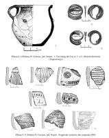 Cronica Cercetărilor Arheologice din România, Campania 2001. Raportul nr. 204