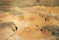 Chronicle of the Archaeological Excavations in Romania, 2001 Campaign. Report no. 237, Vârtopu, Vârtoapele<br /><a href='http://foto.cimec.ro/cronica/2001/237/vartopu-2.jpg' target=_blank>Display the same picture in a new window</a>