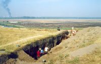 Chronicle of the Archaeological Excavations in Romania, 2001 Campaign. Report no. 248, Zimnicea, Câmpul Morţilor<br /><a href='http://foto.cimec.ro/cronica/2001/248/017.jpg' target=_blank>Display the same picture in a new window</a>