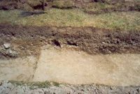 Chronicle of the Archaeological Excavations in Romania, 2002 Campaign. Report no. 2, Gura Cornei, Valea Seliştei.<br /> Sector foto.<br /><a href='http://foto.cimec.ro/cronica/2002/002/foto/02-pl-ii-4.jpg' target=_blank>Display the same picture in a new window</a>. Title: foto