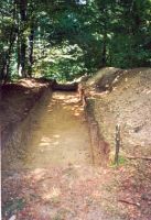 Chronicle of the Archaeological Excavations in Romania, 2002 Campaign. Report no. 2, Gura Cornei, Valea Seliştei.<br /> Sector foto.<br /><a href='http://foto.cimec.ro/cronica/2002/002/foto/03-pl-iii-5.jpg' target=_blank>Display the same picture in a new window</a>. Title: foto