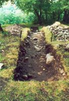 Chronicle of the Archaeological Excavations in Romania, 2002 Campaign. Report no. 2, Gura Cornei, Valea Seliştei.<br /> Sector foto.<br /><a href='http://foto.cimec.ro/cronica/2002/002/foto/14-pl-xiv-16.jpg' target=_blank>Display the same picture in a new window</a>. Title: foto