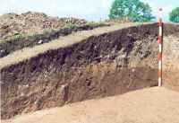 Chronicle of the Archaeological Excavations in Romania, 2002 Campaign. Report no. 2, Gura Cornei, Valea Seliştei.<br /> Sector foto.<br /><a href='http://foto.cimec.ro/cronica/2002/002/foto/25-pl-xxv-37.jpg' target=_blank>Display the same picture in a new window</a>. Title: foto