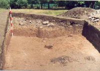 Chronicle of the Archaeological Excavations in Romania, 2002 Campaign. Report no. 2, Gura Cornei, Valea Seliştei.<br /> Sector foto.<br /><a href='http://foto.cimec.ro/cronica/2002/002/foto/25-pl-xxv-38.jpg' target=_blank>Display the same picture in a new window</a>. Title: foto