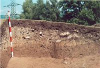 Chronicle of the Archaeological Excavations in Romania, 2002 Campaign. Report no. 2, Gura Cornei, Valea Seliştei.<br /> Sector foto.<br /><a href='http://foto.cimec.ro/cronica/2002/002/foto/26-pl-xxvi-39.jpg' target=_blank>Display the same picture in a new window</a>. Title: foto