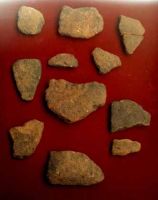 Chronicle of the Archaeological Excavations in Romania, 2002 Campaign. Report no. 2, Gura Cornei, Valea Seliştei.<br /> Sector foto.<br /><a href='http://foto.cimec.ro/cronica/2002/002/foto/37-pl-xxxvii-71.jpg' target=_blank>Display the same picture in a new window</a>. Title: foto