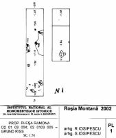 Chronicle of the Archaeological Excavations in Romania, 2002 Campaign. Report no. 2, Gura Cornei, Valea Seliştei.<br /> Sector planuri.<br /><a href='http://foto.cimec.ro/cronica/2002/002/planuri/01.jpg' target=_blank>Display the same picture in a new window</a>. Title: planuri