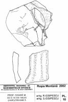 Chronicle of the Archaeological Excavations in Romania, 2002 Campaign. Report no. 2, Gura Cornei, Valea Seliştei.<br /> Sector planuri.<br /><a href='http://foto.cimec.ro/cronica/2002/002/planuri/10.jpg' target=_blank>Display the same picture in a new window</a>. Title: planuri