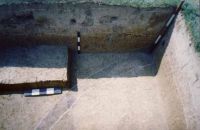 Chronicle of the Archaeological Excavations in Romania, 2002 Campaign. Report no. 6, Adâncata, Dealul Lipovanului.<br /> Sector movilaT5.<br /><a href='http://foto.cimec.ro/cronica/2002/006/movilaT5/c1.jpg' target=_blank>Display the same picture in a new window</a>. Title: movilaT5