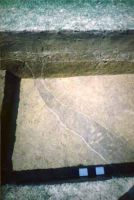 Chronicle of the Archaeological Excavations in Romania, 2002 Campaign. Report no. 6, Adâncata, Dealul Lipovanului.<br /> Sector movilaT5.<br /><a href='http://foto.cimec.ro/cronica/2002/006/movilaT5/c4.jpg' target=_blank>Display the same picture in a new window</a>. Title: movilaT5