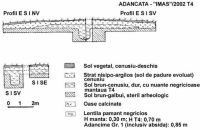 Chronicle of the Archaeological Excavations in Romania, 2002 Campaign. Report no. 6, Adâncata, Dealul Lipovanului<br /><a href='http://foto.cimec.ro/cronica/2002/006/08.jpg' target=_blank>Display the same picture in a new window</a>