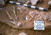 Chronicle of the Archaeological Excavations in Romania, 2002 Campaign. Report no. 15, Almaşu Mare, La Cruce<br /><a href='http://foto.cimec.ro/cronica/2002/015/fig-2.jpg' target=_blank>Display the same picture in a new window</a>