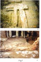 Chronicle of the Archaeological Excavations in Romania, 2002 Campaign. Report no. 37, Bucureşti<br /><a href='http://foto.cimec.ro/cronica/2002/037/armandfig1.jpg' target=_blank>Display the same picture in a new window</a>