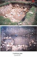 Chronicle of the Archaeological Excavations in Romania, 2002 Campaign. Report no. 42, Capidava, Cetate<br /><a href='http://foto.cimec.ro/cronica/2002/042/grupaj2.jpg' target=_blank>Display the same picture in a new window</a>