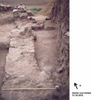 Cronica Cercetărilor Arheologice din România, Campania 2002. Raportul nr. 82