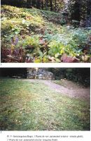 Chronicle of the Archaeological Excavations in Romania, 2002 Campaign. Report no. 86, Grădiştea De Munte, Sarmizegetusa Regia (Grădiştea Muncelului, Dealul Grădiştii)<br /><a href='http://foto.cimec.ro/cronica/2002/086/pl-5.jpg' target=_blank>Display the same picture in a new window</a>