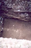 Chronicle of the Archaeological Excavations in Romania, 2002 Campaign. Report no. 97, Iaz, Traianu („Troianul Mare“, Traianu, La Drum)<br /><a href='http://foto.cimec.ro/cronica/2002/097/tibiscum-iaz-3.jpg' target=_blank>Display the same picture in a new window</a>