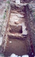 Chronicle of the Archaeological Excavations in Romania, 2002 Campaign. Report no. 97, Iaz, Traianu („Troianul Mare“, Traianu, La Drum)<br /><a href='http://foto.cimec.ro/cronica/2002/097/tibiscum-iaz-4.jpg' target=_blank>Display the same picture in a new window</a>