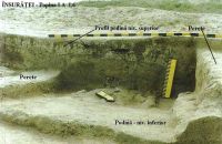 Chronicle of the Archaeological Excavations in Romania, 2002 Campaign. Report no. 104, Însurăţei, Popina I (Rubla)<br /><a href='http://foto.cimec.ro/cronica/2002/104/ins-p1-l6-04.jpg' target=_blank>Display the same picture in a new window</a>