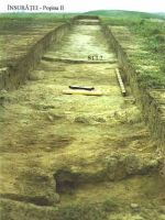 Chronicle of the Archaeological Excavations in Romania, 2002 Campaign. Report no. 104, Însurăţei, Popina I (Rubla)<br /><a href='http://foto.cimec.ro/cronica/2002/104/ins-p2-2002-s1-an.jpg' target=_blank>Display the same picture in a new window</a>