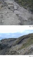Chronicle of the Archaeological Excavations in Romania, 2002 Campaign. Report no. 108, Jurilovca, Capul Dolojman<br /><a href='http://foto.cimec.ro/cronica/2002/108/Topoleanu02.jpg' target=_blank>Display the same picture in a new window</a>