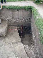 Chronicle of the Archaeological Excavations in Romania, 2002 Campaign. Report no. 187, Slava Rusă, Cetatea Ibida - Cetatea Fetei<br /><a href='http://foto.cimec.ro/cronica/2002/187/2-1.jpg' target=_blank>Display the same picture in a new window</a>