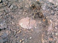 Chronicle of the Archaeological Excavations in Romania, 2002 Campaign. Report no. 196, Şeuşa, Gorgan<br /><a href='http://foto.cimec.ro/cronica/2002/196/08.jpg' target=_blank>Display the same picture in a new window</a>