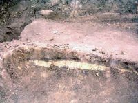 Chronicle of the Archaeological Excavations in Romania, 2002 Campaign. Report no. 196, Şeuşa, Gorgan<br /><a href='http://foto.cimec.ro/cronica/2002/196/09.jpg' target=_blank>Display the same picture in a new window</a>