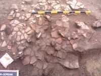 Chronicle of the Archaeological Excavations in Romania, 2002 Campaign. Report no. 196, Şeuşa, Gorgan<br /><a href='http://foto.cimec.ro/cronica/2002/196/16.jpg' target=_blank>Display the same picture in a new window</a>