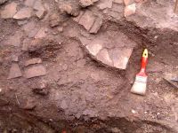 Chronicle of the Archaeological Excavations in Romania, 2002 Campaign. Report no. 196, Şeuşa, Gorgan<br /><a href='http://foto.cimec.ro/cronica/2002/196/18.jpg' target=_blank>Display the same picture in a new window</a>