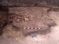 Cronica Cercetărilor Arheologice din România, Campania 2002. Raportul nr. 196