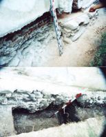 Chronicle of the Archaeological Excavations in Romania, 2002 Campaign. Report no. 200, Târgovişte, Biserica Creţulescu<br /><a href='http://foto.cimec.ro/cronica/2002/200/d01.jpg' target=_blank>Display the same picture in a new window</a>