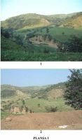 Chronicle of the Archaeological Excavations in Romania, 2002 Campaign. Report no. 210, Vadu Săpat, Puţul Tătarului (Budureasca 4 Nord)<br /><a href='http://foto.cimec.ro/cronica/2002/210/02.jpg' target=_blank>Display the same picture in a new window</a>