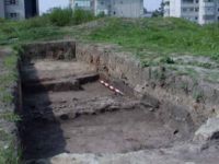 Chronicle of the Archaeological Excavations in Romania, 2002 Campaign. Report no. 212, Vaslui<br /><a href='http://foto.cimec.ro/cronica/2002/212/photo3-02-8-22-13-26.jpg' target=_blank>Display the same picture in a new window</a>