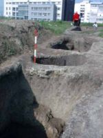 Chronicle of the Archaeological Excavations in Romania, 2002 Campaign. Report no. 212, Vaslui<br /><a href='http://foto.cimec.ro/cronica/2002/212/photo3-96-10-1-03-40.jpg' target=_blank>Display the same picture in a new window</a>