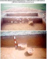 Chronicle of the Archaeological Excavations in Romania, 2002 Campaign. Report no. 214, Vârtopu, Vârtoapele<br /><a href='http://foto.cimec.ro/cronica/2002/214/01.jpg' target=_blank>Display the same picture in a new window</a>