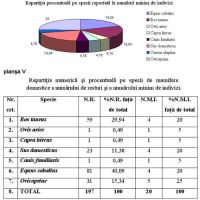 Chronicle of the Archaeological Excavations in Romania, 2003 Campaign. Report no. 3, Adamclisi, Cetate<br /><a href='http://foto.cimec.ro/cronica/2003/003/adamclisi-est-pl-v.jpg' target=_blank>Display the same picture in a new window</a>