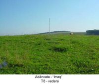 Chronicle of the Archaeological Excavations in Romania, 2003 Campaign. Report no. 4, Adâncata, Imaş.<br /> Sector T8-2003.<br /><a href='http://foto.cimec.ro/cronica/2003/004/T8-2003/adancata-t8-2003-a.JPG' target=_blank>Display the same picture in a new window</a>. Title: T8-2003