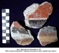 Chronicle of the Archaeological Excavations in Romania, 2003 Campaign. Report no. 8, Alba Iulia, Municipium Septimium Apulense (Apulum II)<br /><a href='http://foto.cimec.ro/cronica/2003/008/ab-str-incoronarii-3.jpg' target=_blank>Display the same picture in a new window</a>