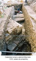 Cronica Cercetărilor Arheologice din România, Campania 2003. Raportul nr. 12