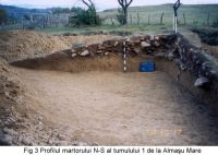 Chronicle of the Archaeological Excavations in Romania, 2003 Campaign. Report no. 21, Almaşu Mare, La Cruce<br /><a href='http://foto.cimec.ro/cronica/2003/021/almasu-mare-fig-3.jpg' target=_blank>Display the same picture in a new window</a>